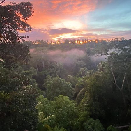 D'Tepi Ubud House Экстерьер фото