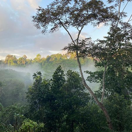 D'Tepi Ubud House Экстерьер фото