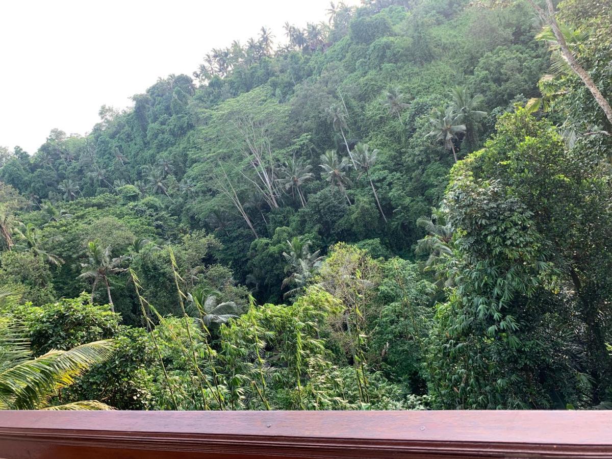D'Tepi Ubud House Экстерьер фото