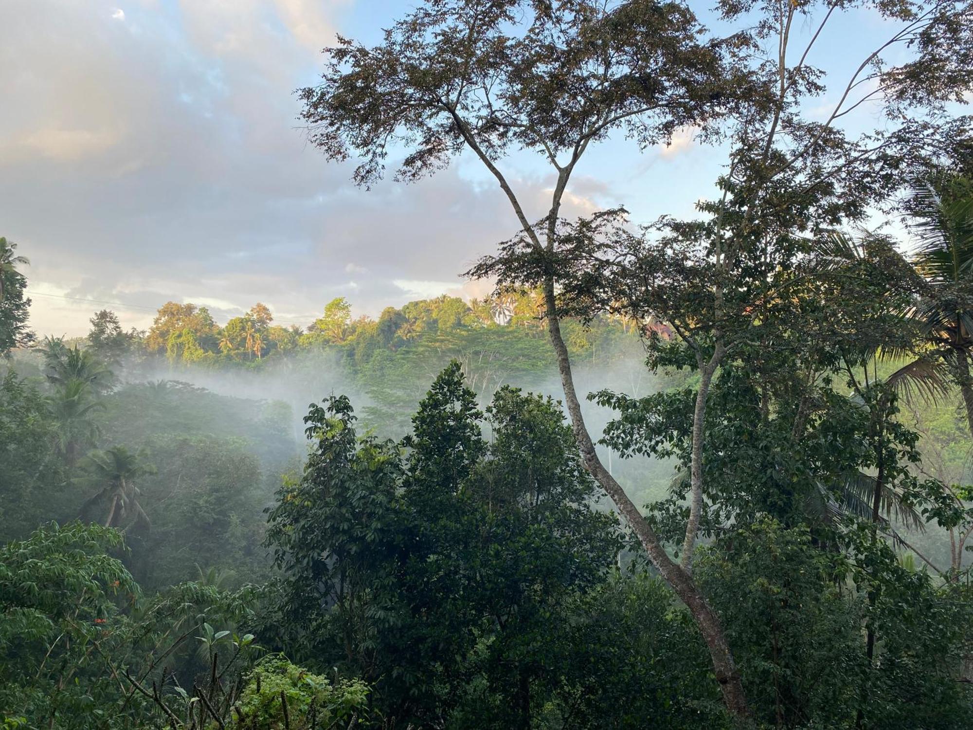 D'Tepi Ubud House Экстерьер фото